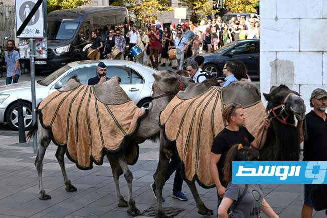 مسيرة بالجِمال في بودابست للتحذير من مخاطر الجفاف والمطالبة بإجراءات مناخية