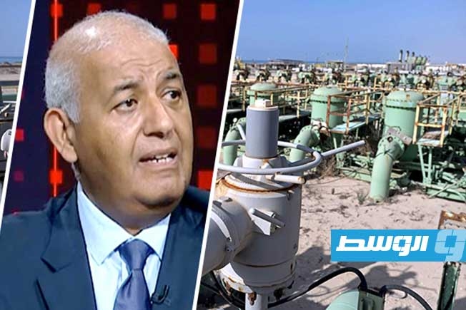 الشحاتي يحذر من تأخر إقرار الموازنة.. ويطرح أربعة 4 سيناريوهات مالية