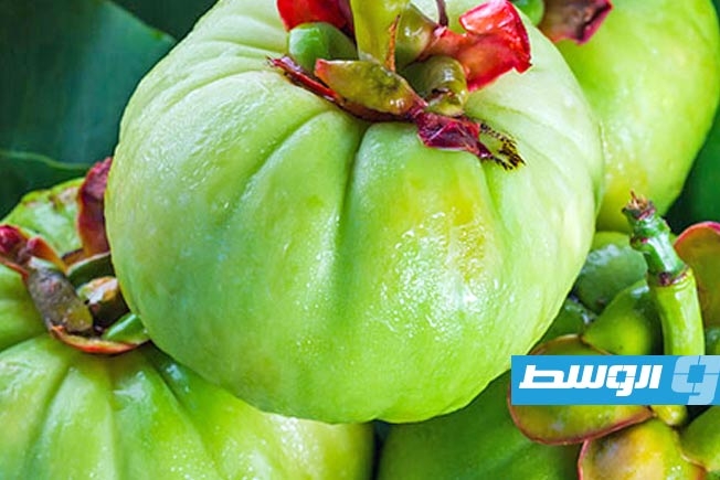 الغرسنية الصمغية.. مخاطر صحية خفية وراء وعود التخسيس