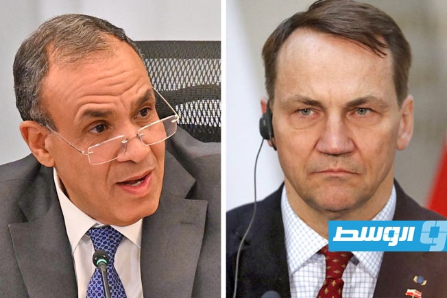 مباحثات مصرية - بولندية حول الأوضاع في غزة وإيران