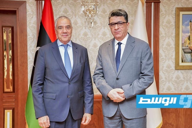 شكشك يبحث مع السفير الألماني تفعيل برامج الدعم الفني والمؤسسي
