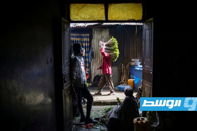 اليونان تحبط تهريب أكبر شحنة من «القات» في تاريخها