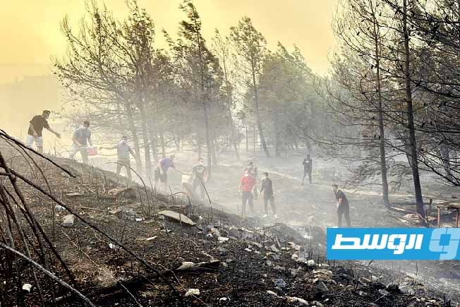 إجلاء 250 شخصًا من غليبولي التركية بسبب حرائق الغابات