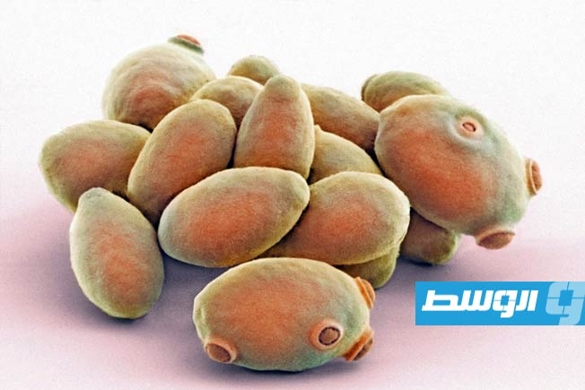 نموذج ذكاء صناعي جديد يدمج جينوم كل الأنواع الحية