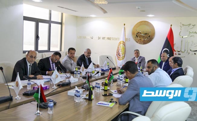 عيسى يبحث مع «مالية النواب» مقترح الميزانية و«راتبك لحظي»