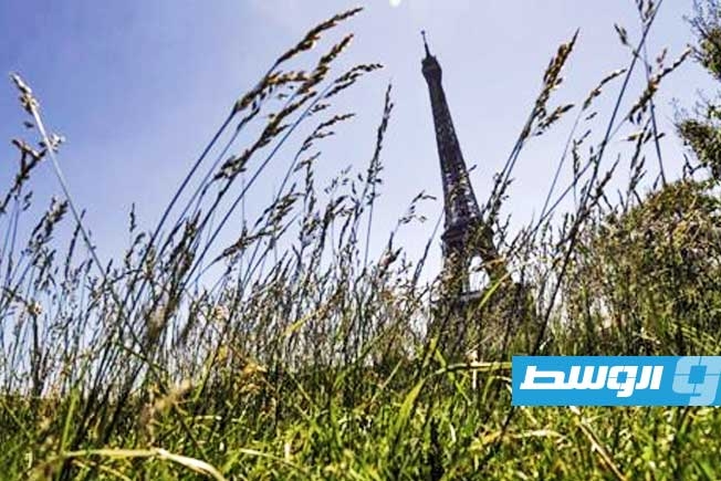 سكان باريس يصوتون الأحد على مشروع لزيادة المساحات الخضراء وشوارع المشاة في مدينتهم
