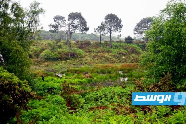 باحثون أيرلنديون ينجحون في تطوير تقنية لتحديد مواقع الأراضي الخثية بدقة غير مسبوقة