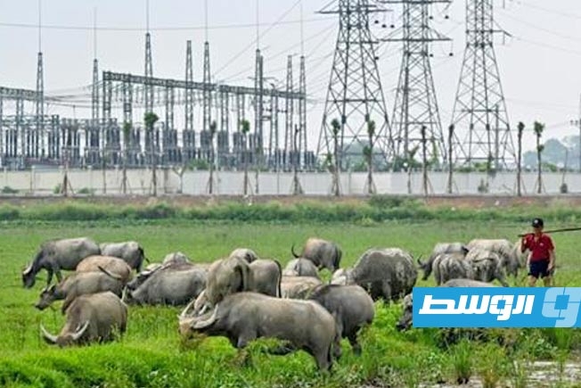 فيتنام توقع اتفاقاً للطاقة النووية لإعادة التوازن التجاري مع واشنطن