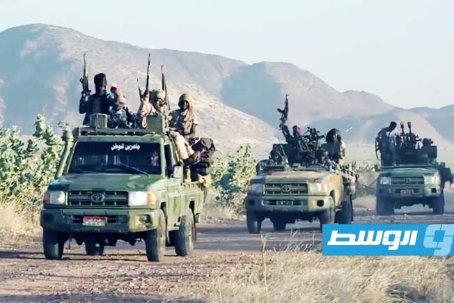 جمعية حقوقية سودانية تتهم «الدعم السريع» بارتكاب مجزرة بدارفور