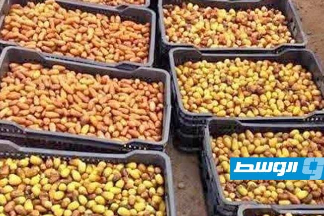 انطلاق موسم بيع التمور في سوكنة