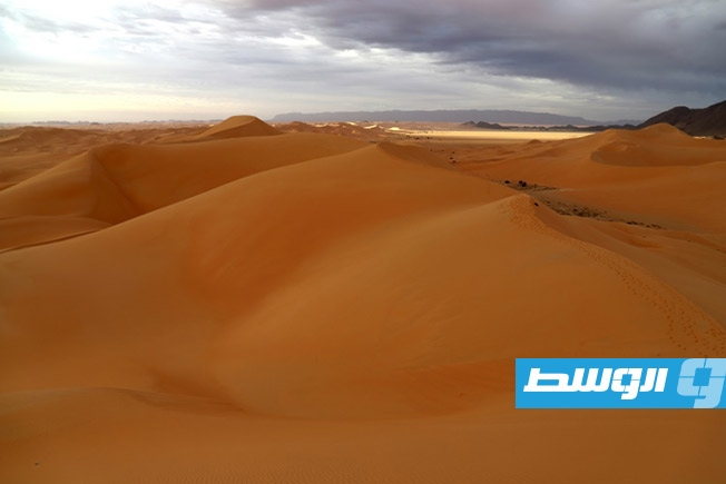 معرض صحاري.. رحلة إلى أسرار الحياة في الظروف الجوية المتطرفة