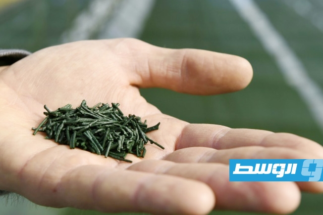 الطحالب الدقيقة.. الذهب الأخضر الذي يعيد تشكيل مستقبل الصناعة والغذاء والعلوم في أوروبا