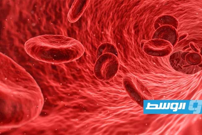 بروتينات الدم تتنبأ بأمراض الكبد قبل 16 عاما من ظهور الأعراض
