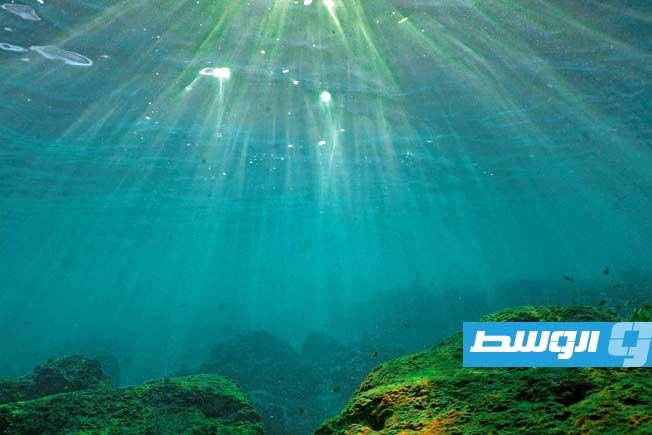 العام 2024 الأكثر حرّا على الإطلاق.. ارتفاع مستويات البحار يفوق التوقعات