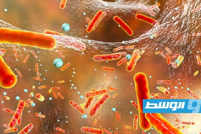 هل يمكن أن يخفف الرمان من الآثار الضارة للمكملات الغذائية؟
