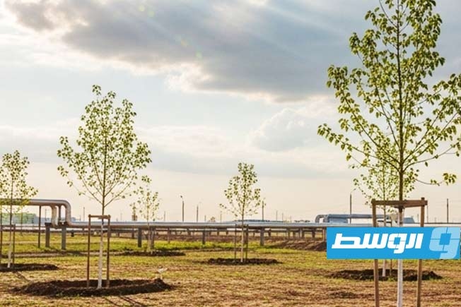 المؤسسة الوطنية للنفط تستعد لإطلاق المرحلة الثالثة من مبادرة «مليون شجرة»