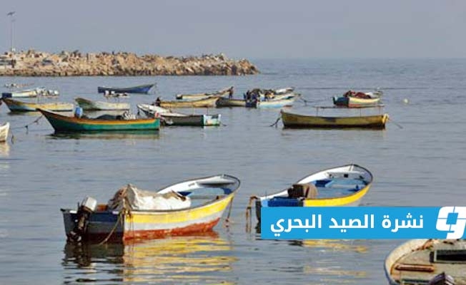 «الأرصاد» يحذر من رياح نشطة على ساحل بنغازي