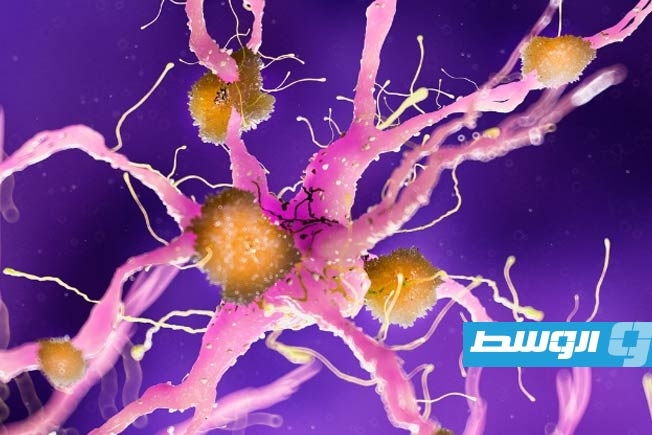 دراسة تجد رابطا «صادما» بين فيروس شائع بالطفولة والإصابة بالزهايمر
