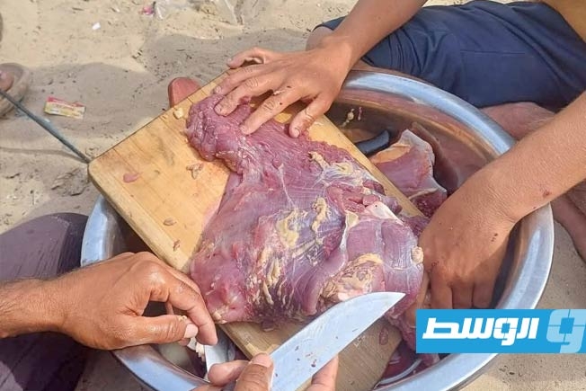 فلسطينيون في غزة يلجؤون لأكل لحم السلاحف مع استمرار الحصار وحرب الإبادة