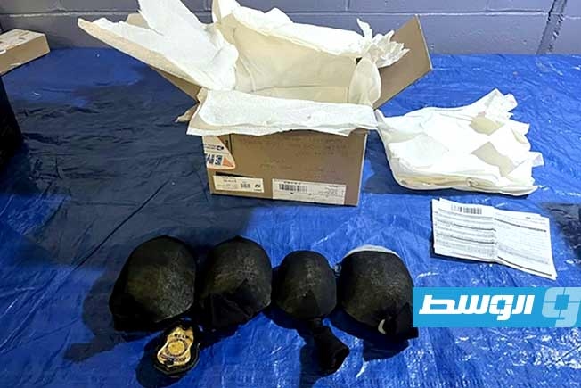 صيني يهرب أنواع محمية من السلاحف من الولايات المتحدة إلى هونغ كونغ