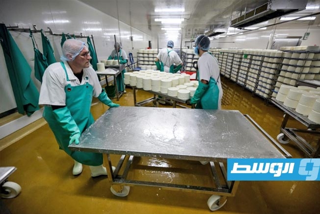 الذكرى المئوية لجبنة «روكفور».. تراث فرنسي يسعى للتجديد