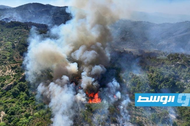 فرق إطفاء أردنية تشارك في مكافحة الحرائق غرب سورية