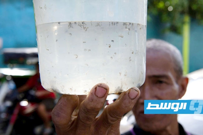 بيزو واحد لمن يأسر 5 بعوضات.. مبادرة في مانيلا لمكافحة حمى الضنك