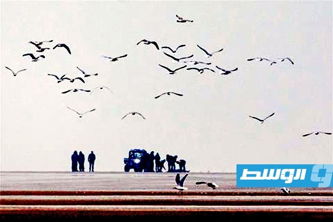 السلطات الفرنسية تعلن وفاة مهاجر كويتي أثناء محاولته عبور المانش