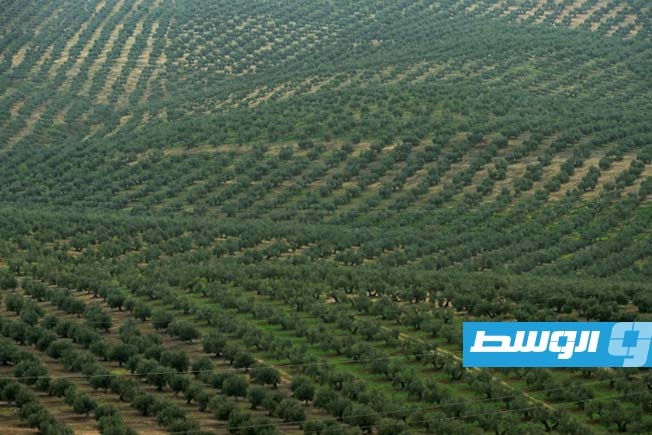دراسة: بين 14 و17% من الأراضي الصالحة للزراعة في العالم ملوثة بمعادن ثقيلة