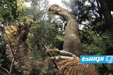 اكتشاف نوع جديد من الديناصورات ثنائية القدمين