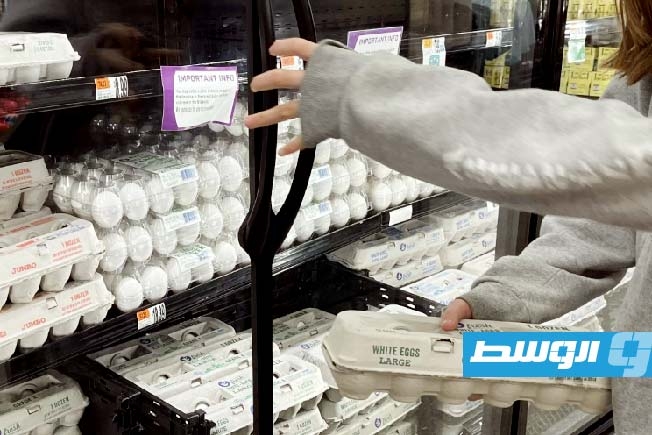 «قرارات صعبة بسبب البيض».. إنفلونزا الطيور ترفع الأسعار في الولايات المتحدة