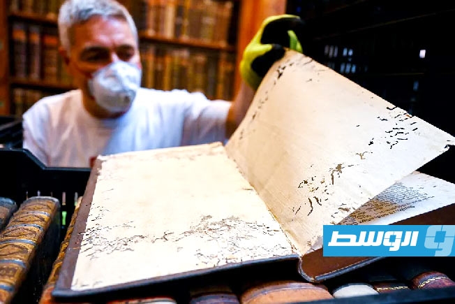 خنافس صغيرة تهدد إرثاً عمره ألف عام في أحد أقدم الأديرة المجرية