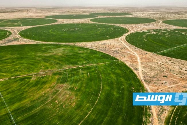 مزارعو صحراء العراق يعولون على المياه الجوفية وسط تحذيرات من نضوبها