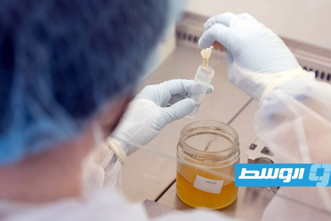 اختبار الحمض النووي يفضح «العسل المغشوش» وأوروبا تتحرك لحماية النحالين من الغش العالمي