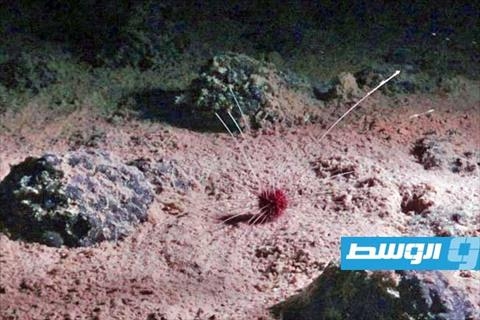 «أكسجين داكن».. اكتشاف علمي يقسم الباحثين