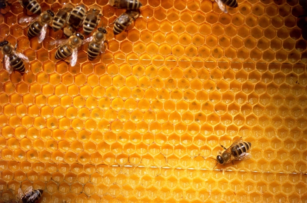 Austria trials DNA testing to uncover honey fraud