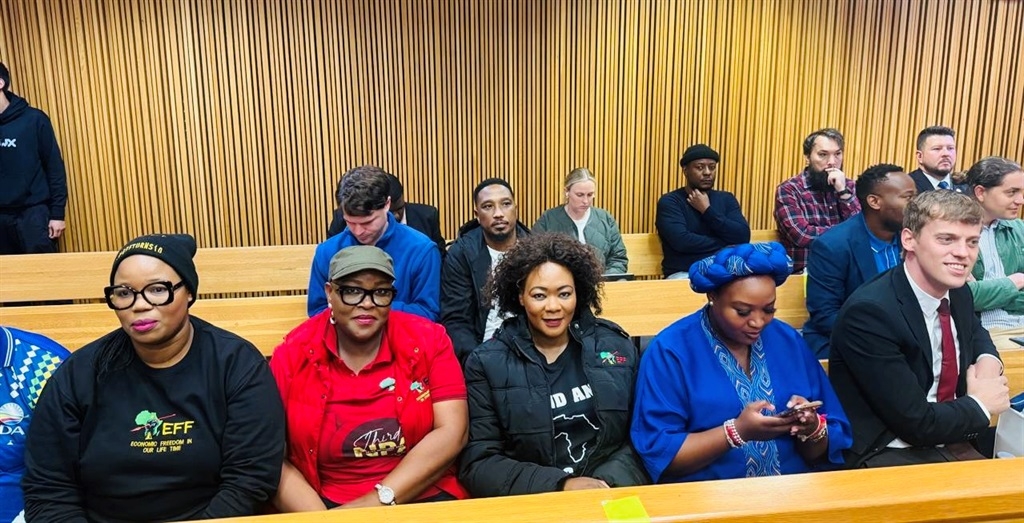DA, EFF unite against ANC's VAT increase, say it's 'a blunder' set to harm the poor
