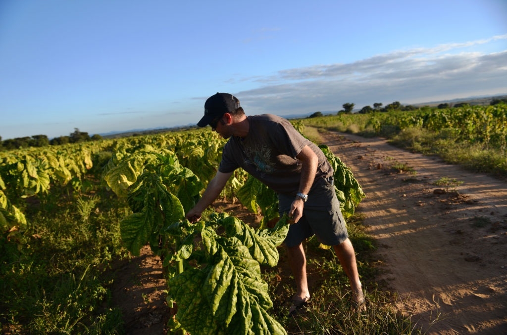 White and black farmers still bear the scars of Zimbabwe's land grabs