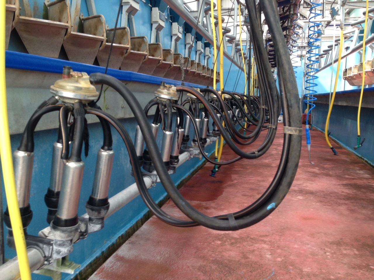 Dairy markets: Ornua PPI sees another drop for April