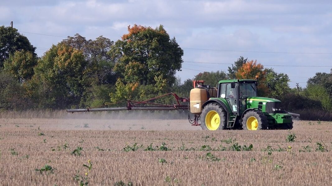 Less pesticides won't make food production more sustainable