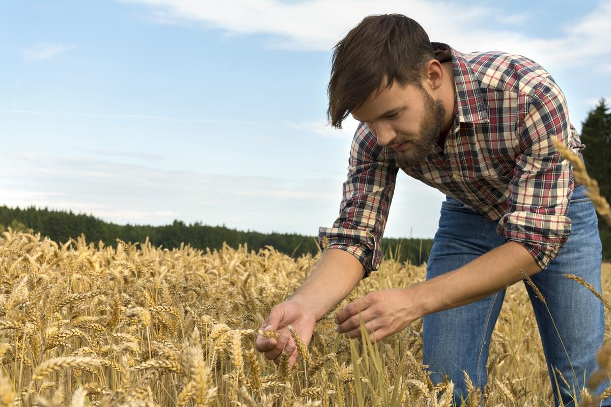 CAP must deliver ‘higher income support' for young farmers