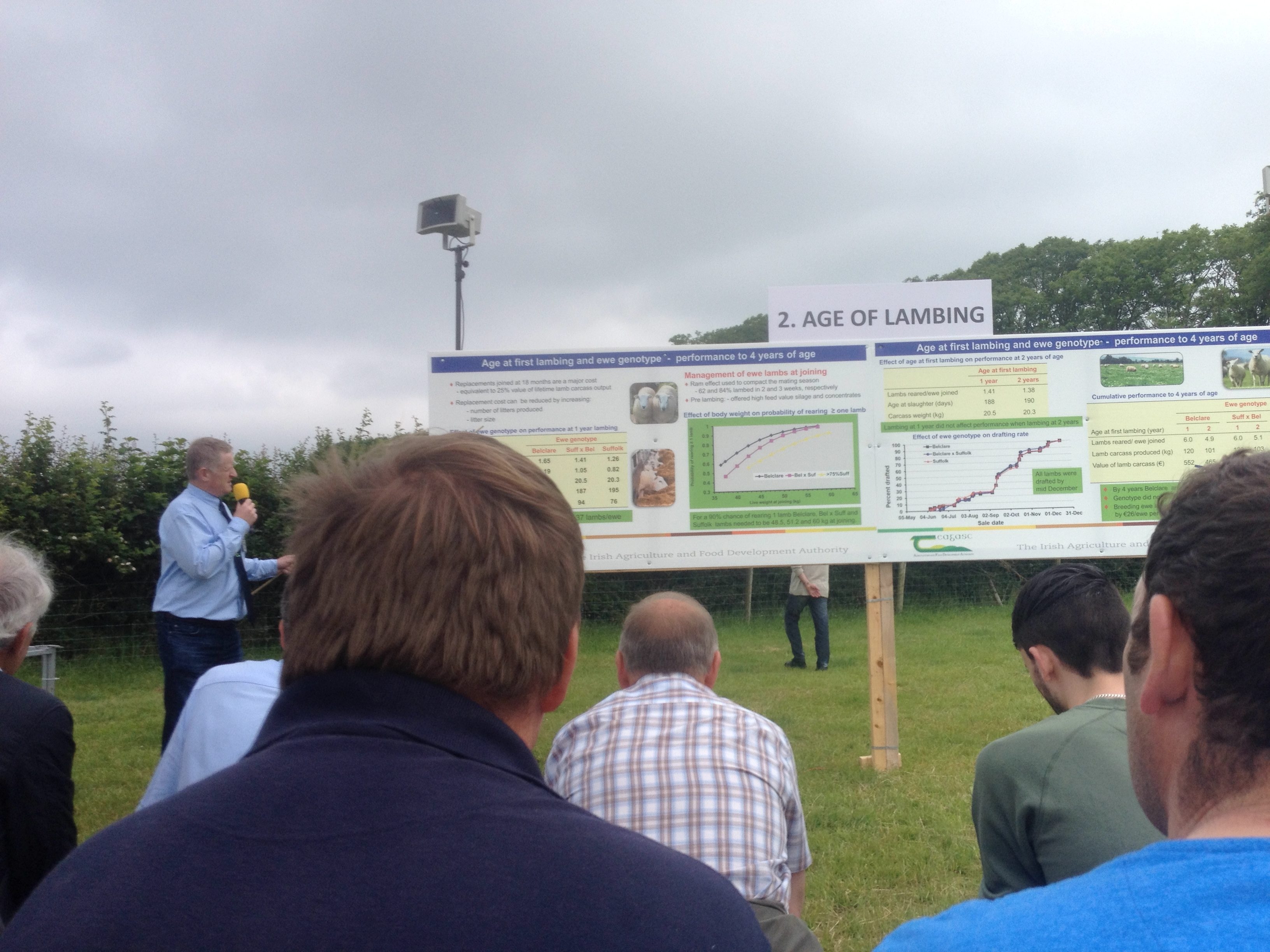 Expert insights and tech info lined up for Sheep 2025 in Galway