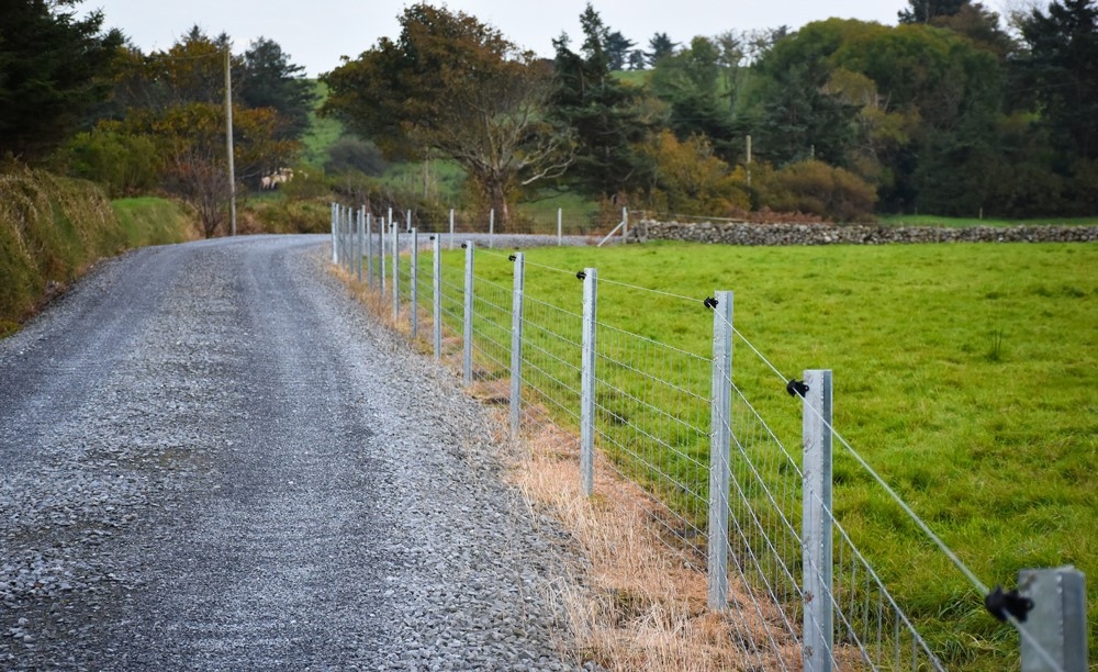 Explore top sheep and cattle handling systems with Clipex at Tullamore
