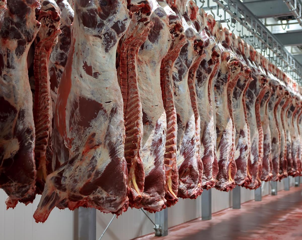 'Significant' rise in UK beef imports from Brazil, Australia and NZ