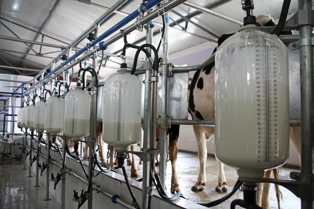 ICMSA: 50c/L base price ‘fully justified' for May milk