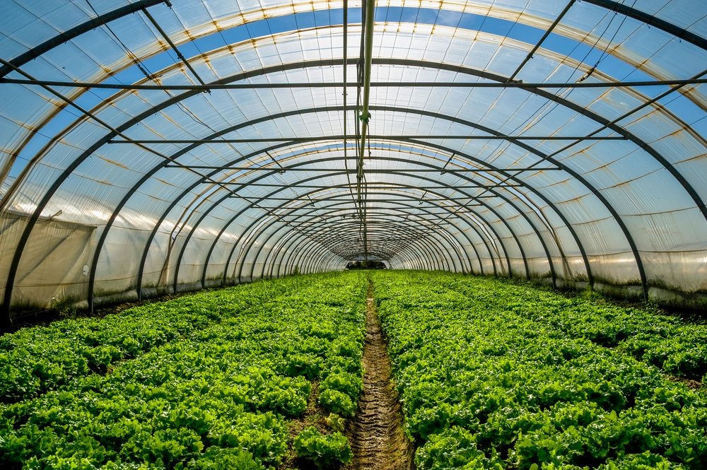 Almost E440000 Issued Under Horticulture Investment Scheme