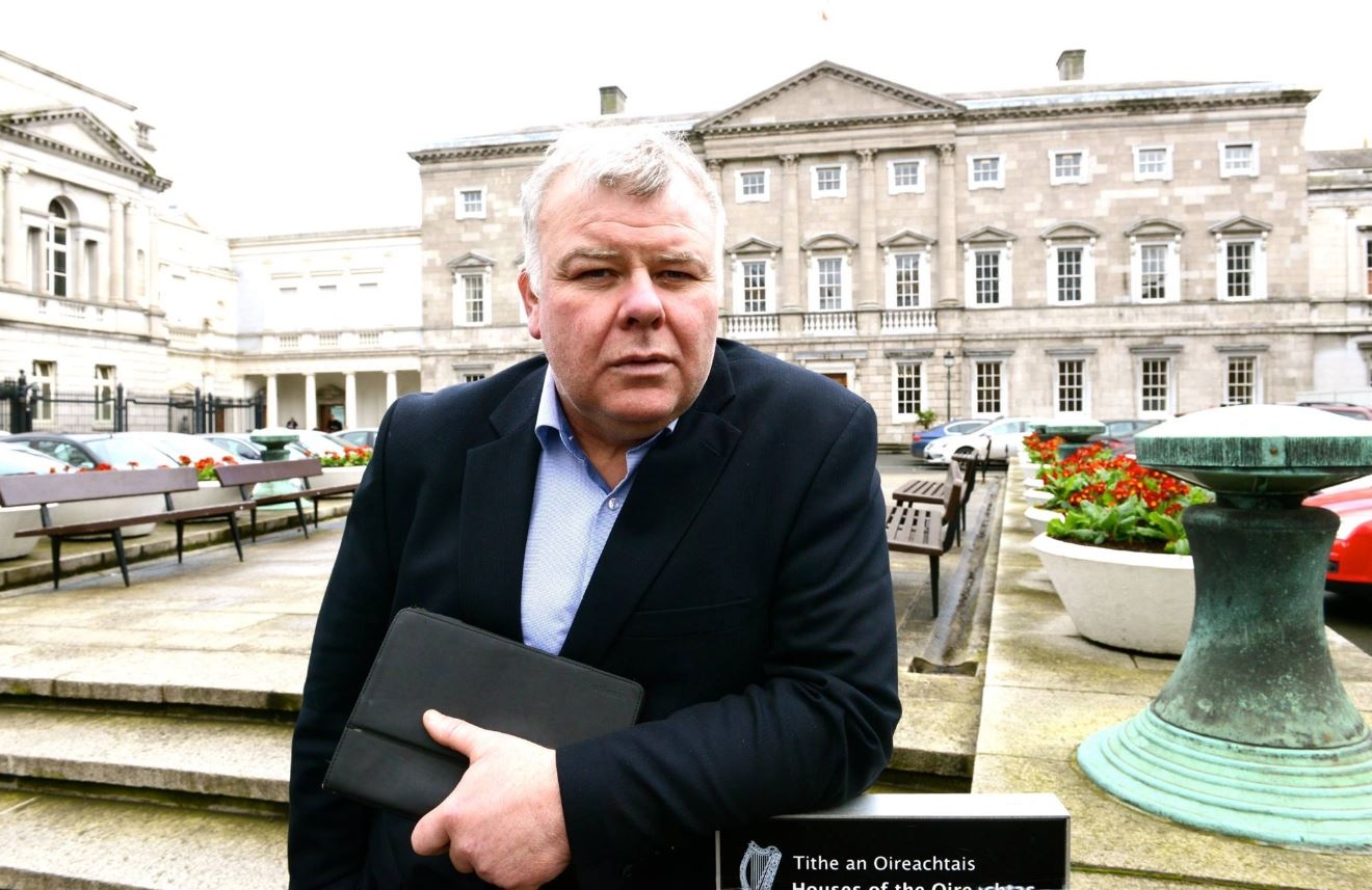 Fitzmaurice: Fallen trees cause power failures after 'mild storm'
