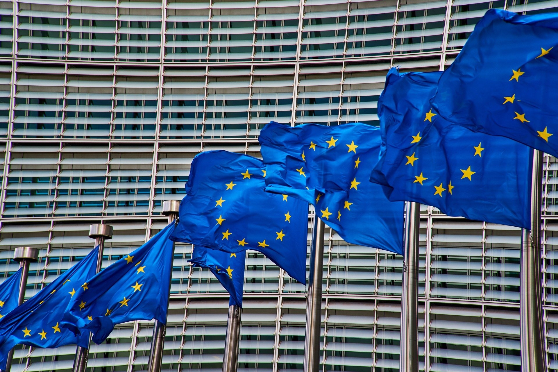 New director-general appointed for EU agriculture