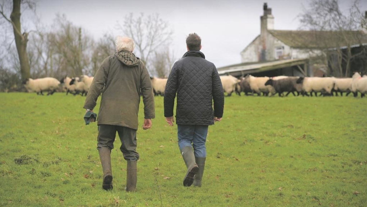 Generational renewal: Policy, incentives and cultural shifts needed