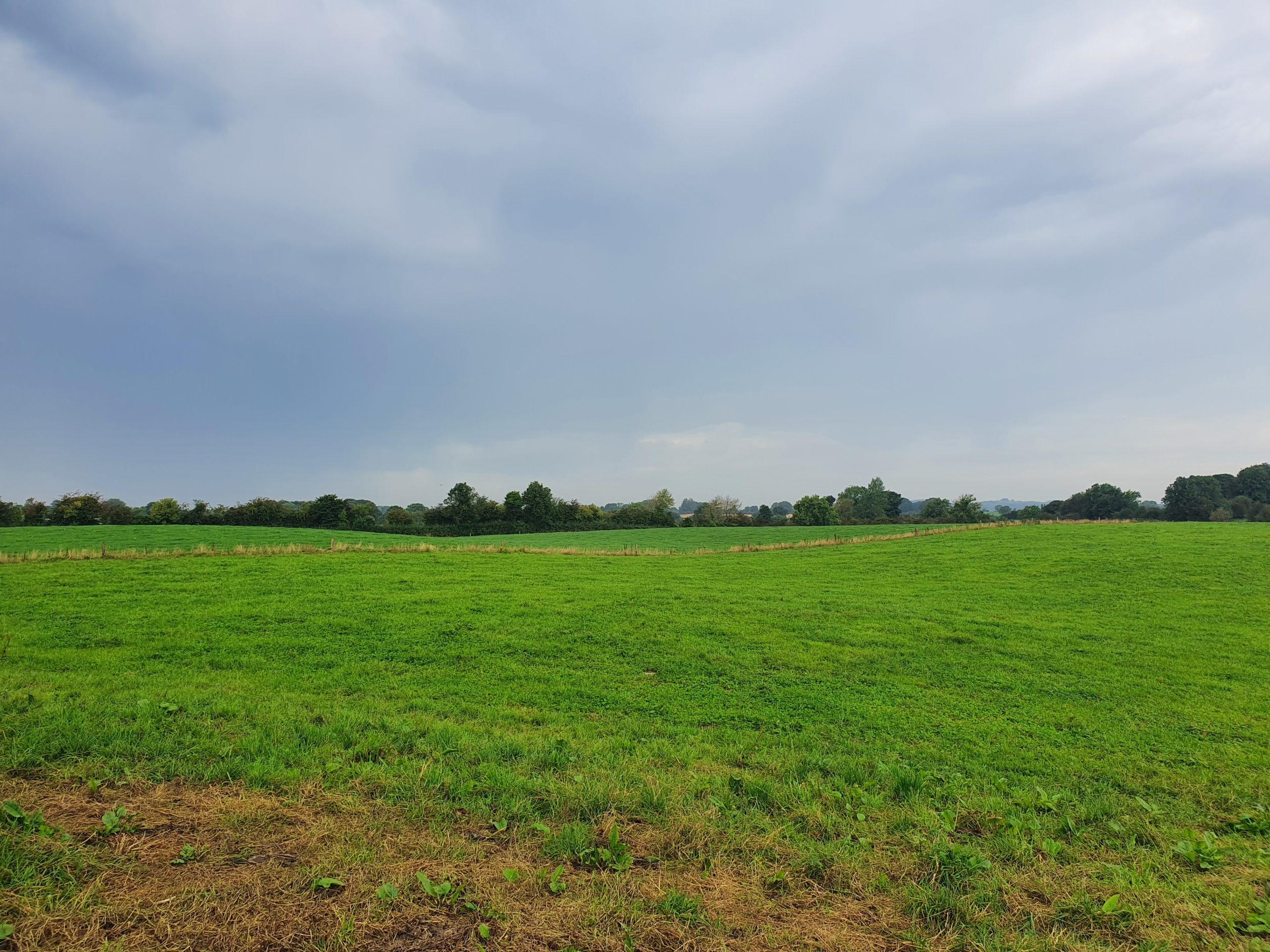Farmers ‘live in fear of the tax implications of RZLT'